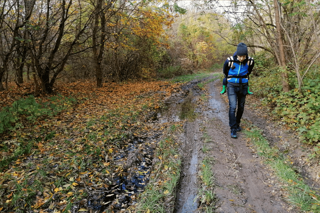 Jarovska Bazantica blato